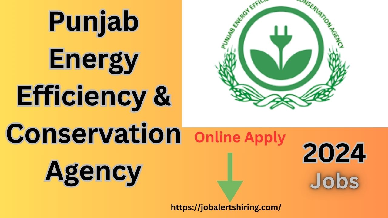 Government Jobs in Pak at Punjab Energy Efficiency & Conservation Agency Jobs 2024